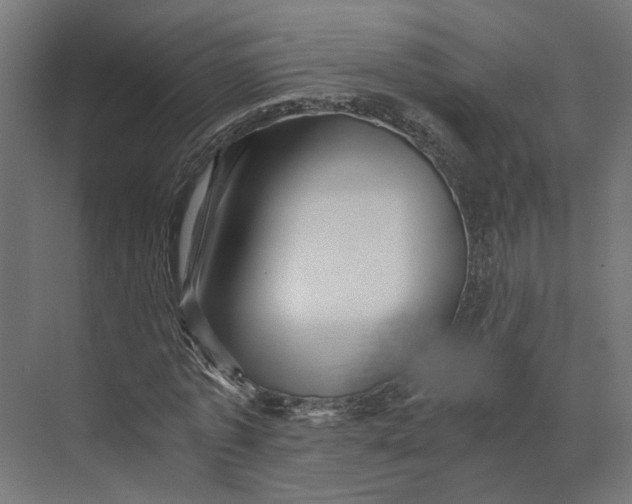 X0000073700773200608241416