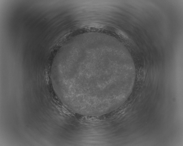 X0000073700774200608241416