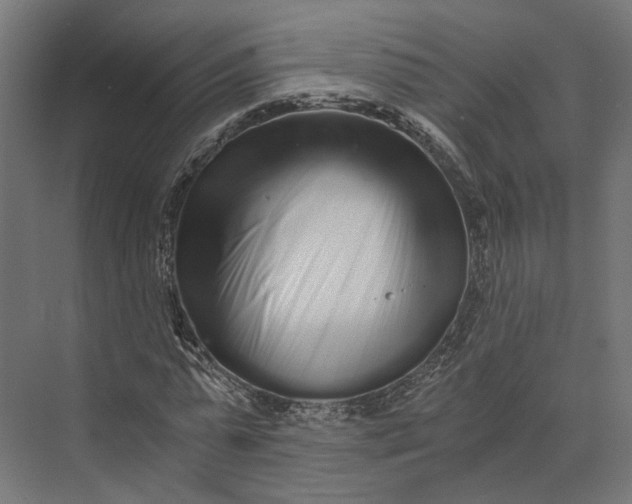 X0000073700775200608241416