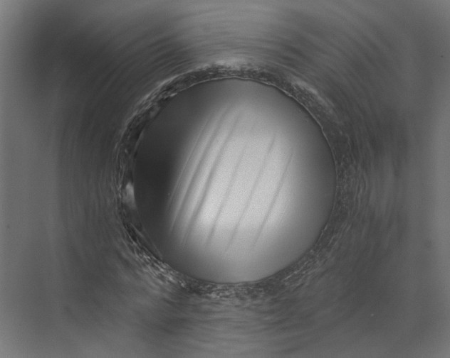 X0000073700776200608241416