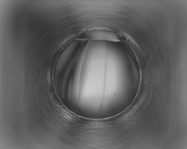 X0000073700777200608241416