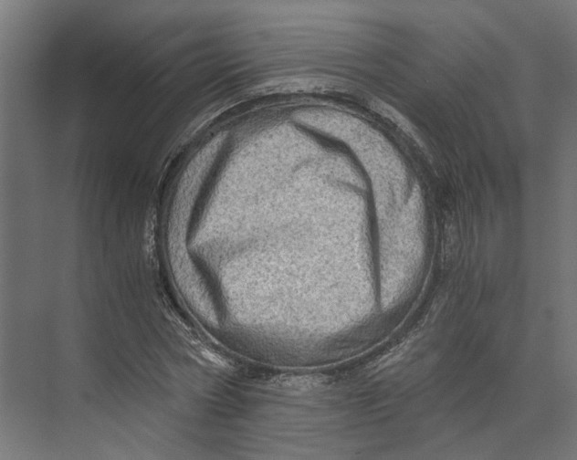 X0000073700778200608241416