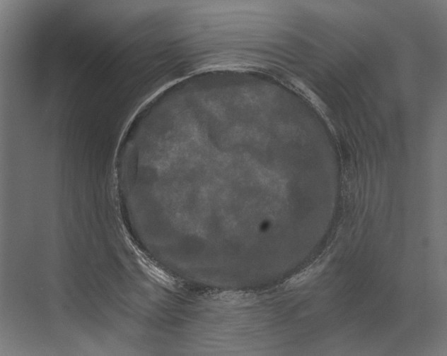 X0000073700779200608241416