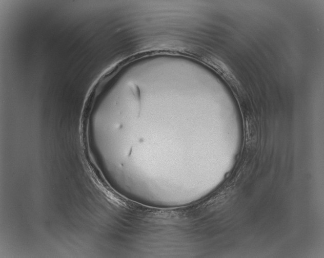 X0000073700780200608241416