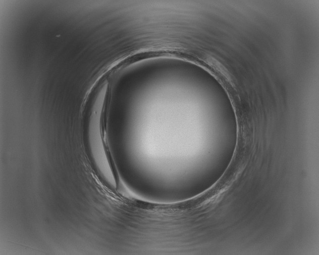 X0000073700781200608241416