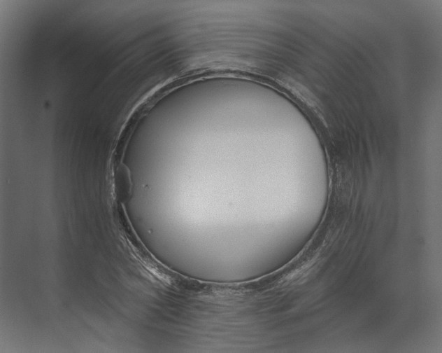 X0000073700782200608241416