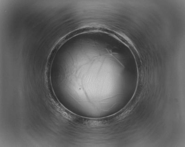 X0000073700783200608241416