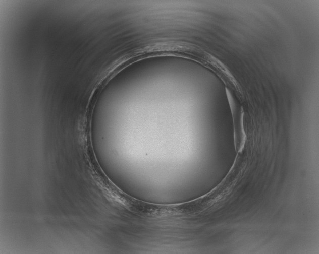 X0000073700786200608241416