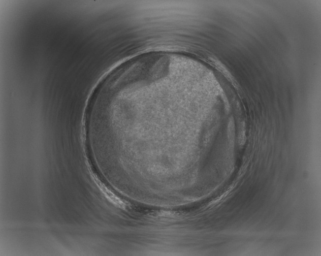 X0000073700787200608241416