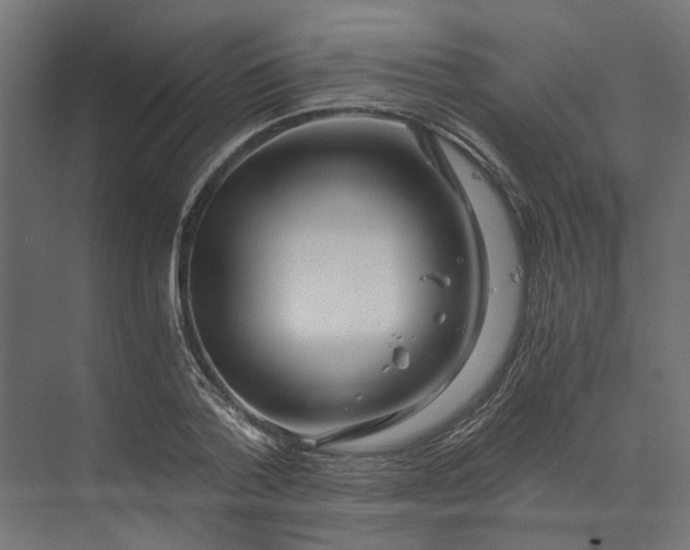 X0000073700788200608241416