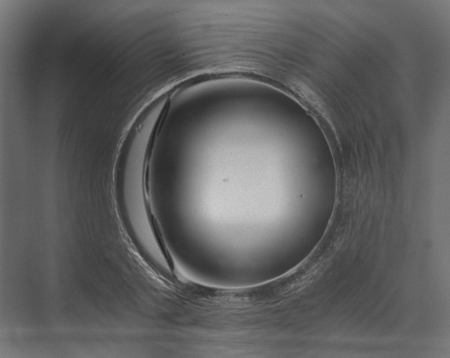 X0000073700789200608241416