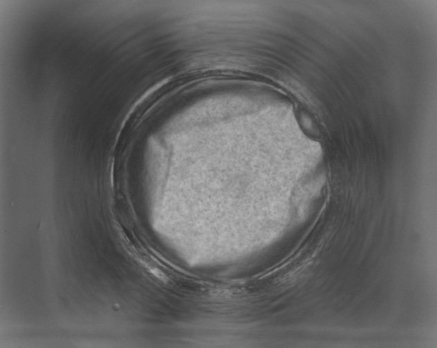 X0000073700790200608241416