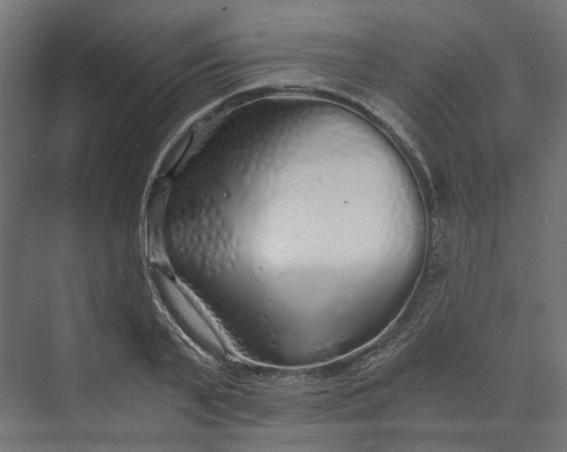 X0000073700791200608241416