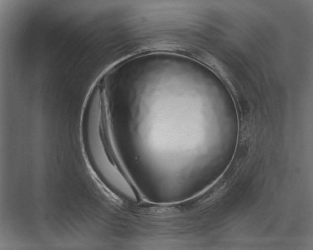 X0000073700795200608241416