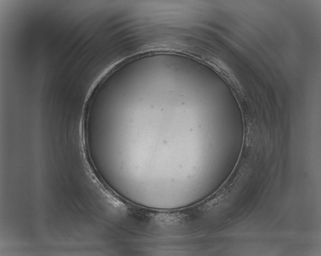 X0000073700796200608241416