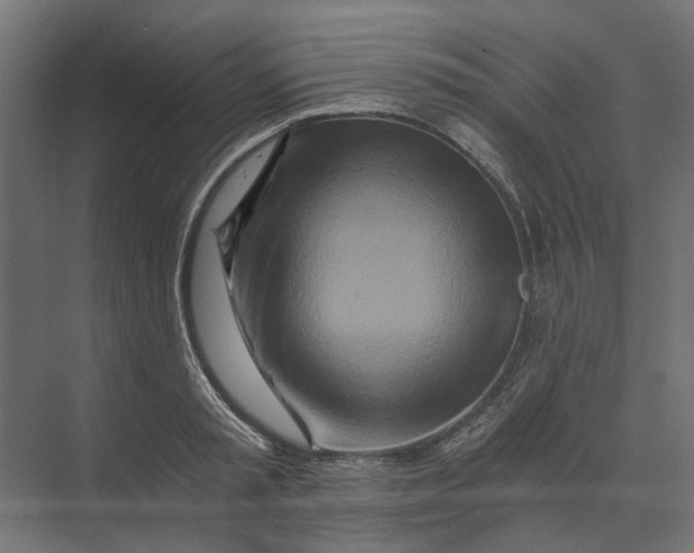 X0000073700797200608241416