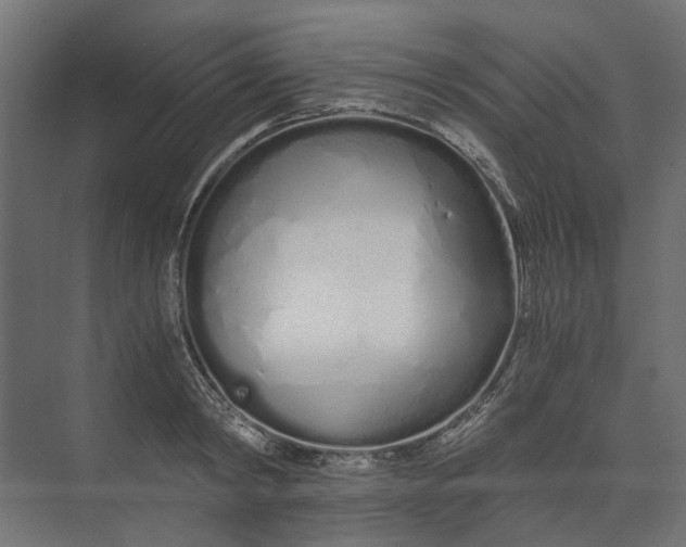 X0000073700798200608241416