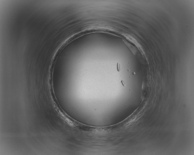 X0000073700799200608241416