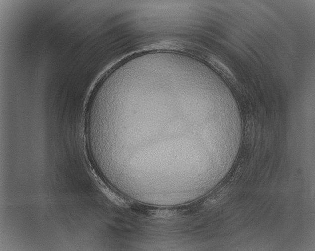 X0000073700800200608241416