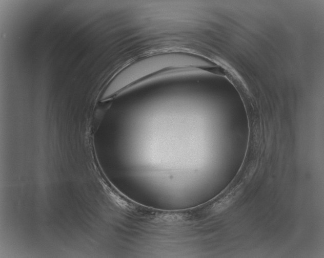 X0000073700801200608241416