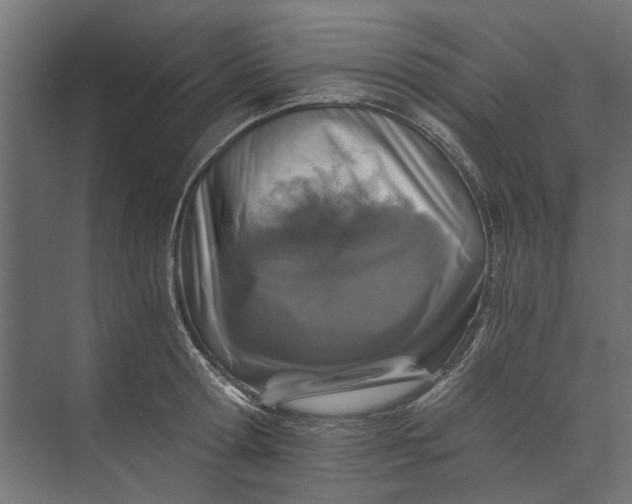 X0000073700802200608241416