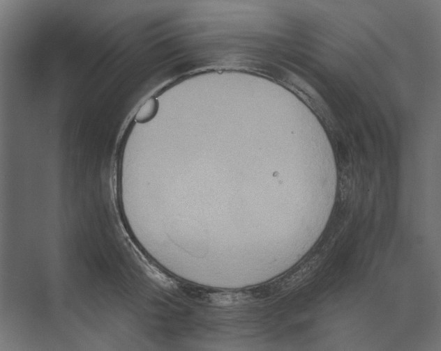 X0000073700804200608241416