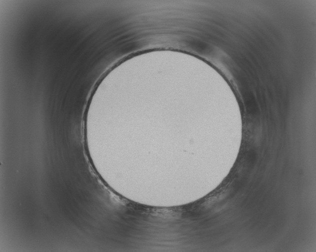 X0000073700807200608241415