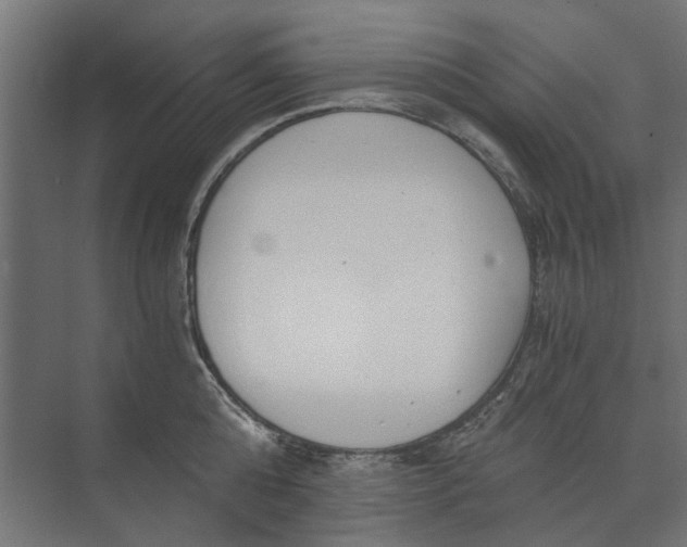 X0000073700808200608241415