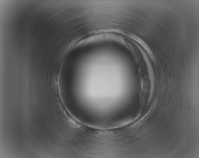 X0000073700809200608241415