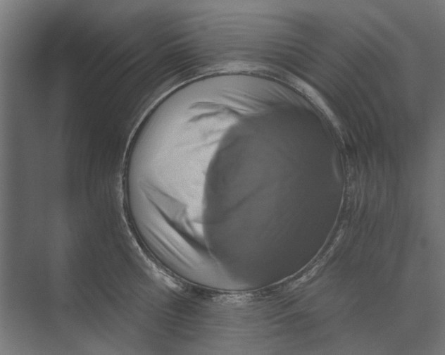 X0000073700810200608241415