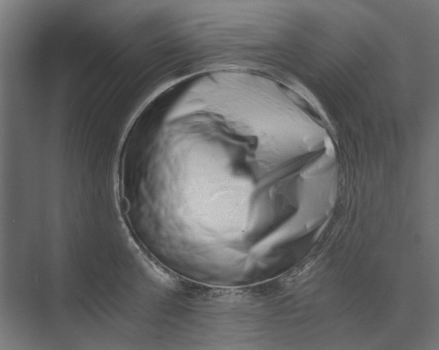 X0000073700811200608241415