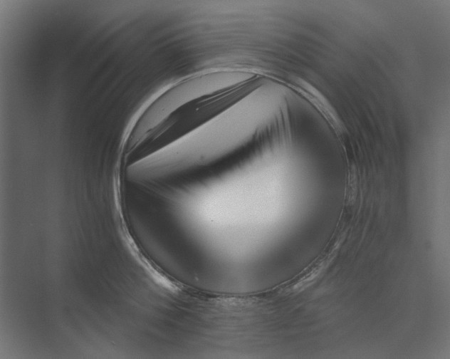 X0000073700812200608241415