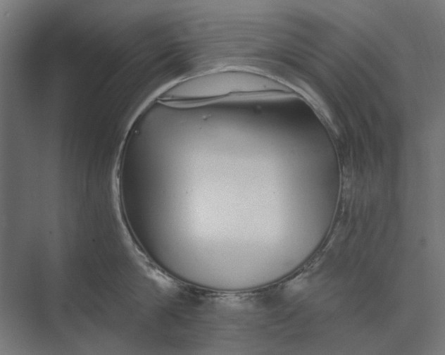 X0000073700814200608241415