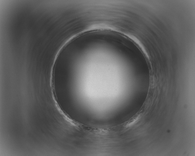 X0000073700815200608241415