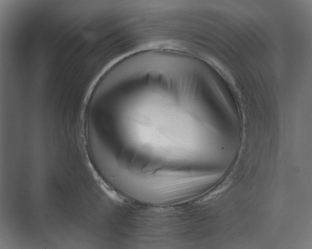 X0000073700816200608241415