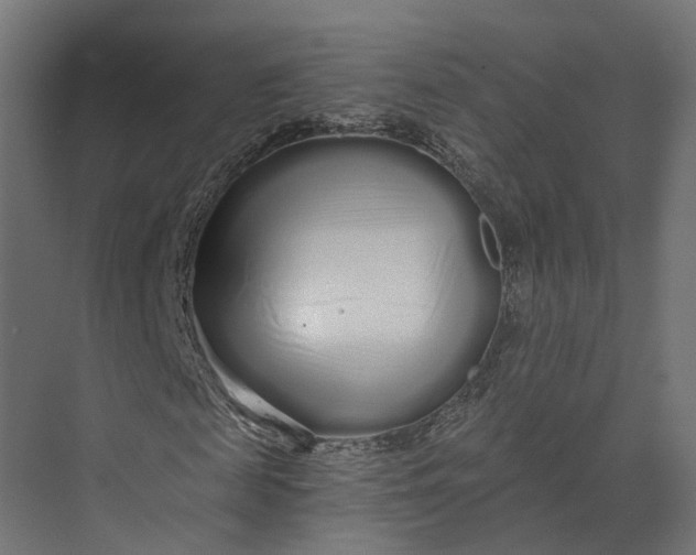 X0000073700817200608241414