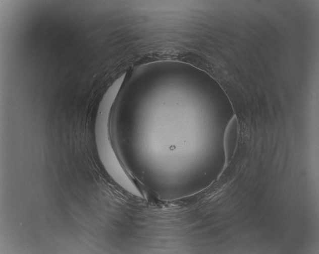 X0000073700818200608241415