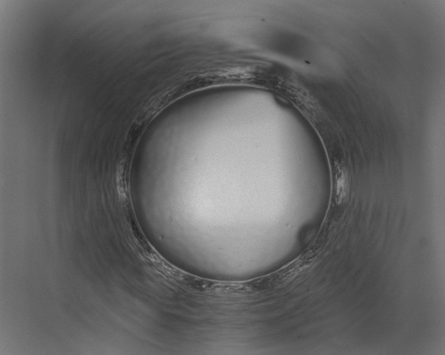 X0000073700819200608241415