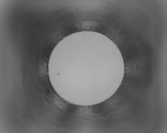 X0000073700820200608241415