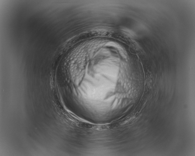 X0000073700821200608241415