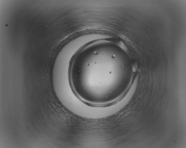 X0000073700822200608241415