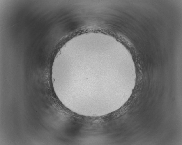 X0000073700824200608241415