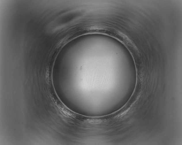 X0000073700825200608241415