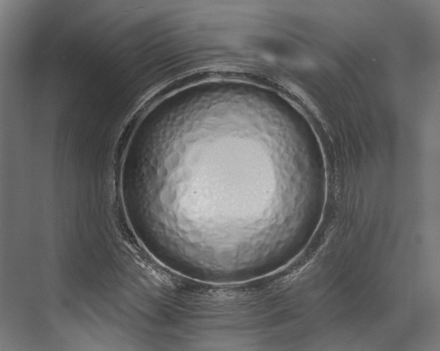 X0000073700829200608241415