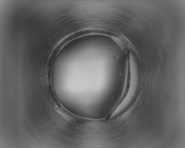 X0000073700830200608241415