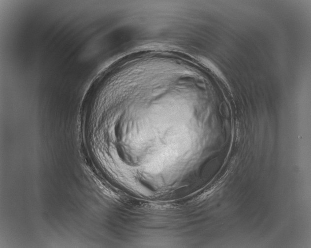 X0000073700831200608241415