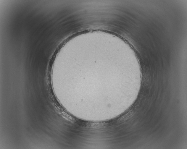 X0000073700832200608241415