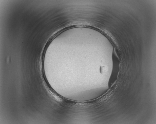 X0000073700840200608241415