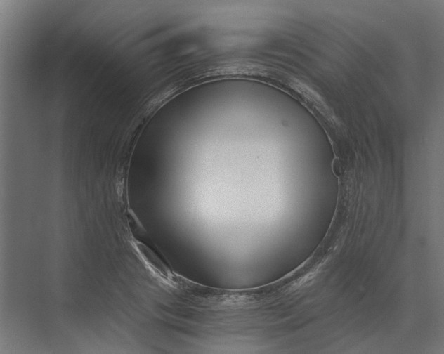 X0000073700841200608241415