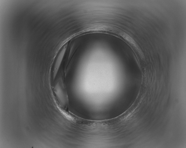 X0000073700842200608241415